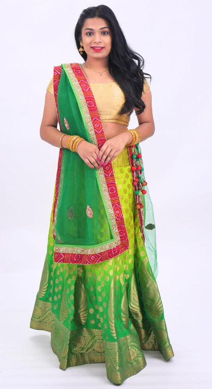 Banarasi Green Lehenga With Hand Embroided Net Dupatta