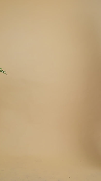 Peach Co-Ords With Hand Work